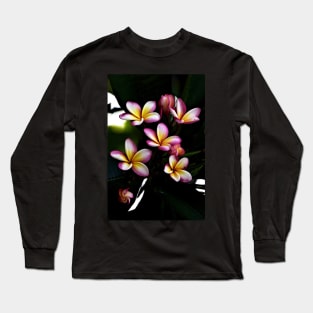 plumeria-flowers-frangipani-floral-blossom-multi-colors-shirtyshirto-87 Long Sleeve T-Shirt